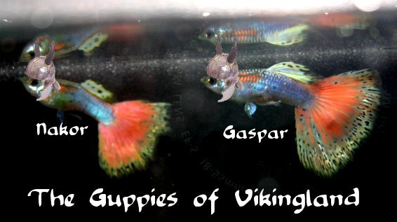 [Image: guppiesofvikingland2.jpg]